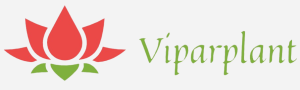 logo_horizontal_vipar